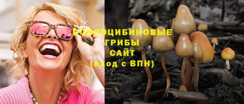 Галлюциногенные грибы Psilocybine cubensis  Островной 